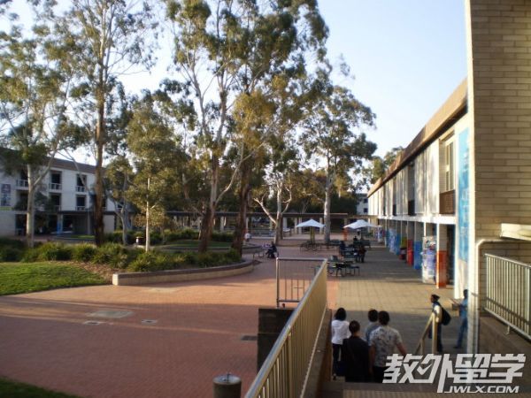 澳大利亚堪培拉大学专业