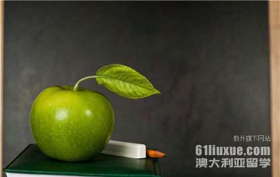 澳大利亚艺术硕士费用
