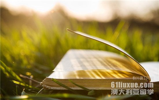 澳洲留学办理电子签证要哪些材料