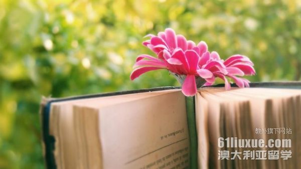 澳大利亚大学申请材料