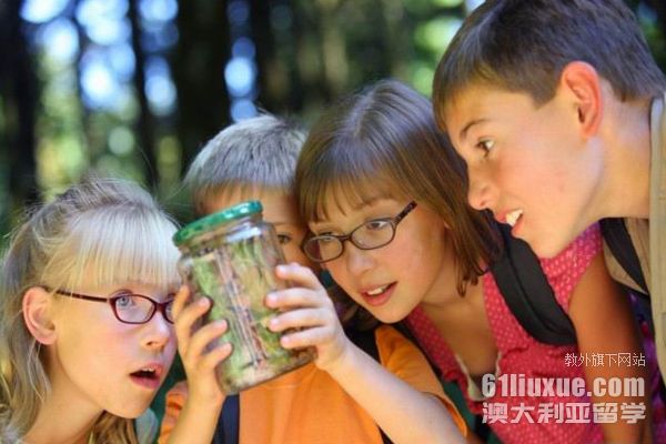 澳大利亚小学几个学期