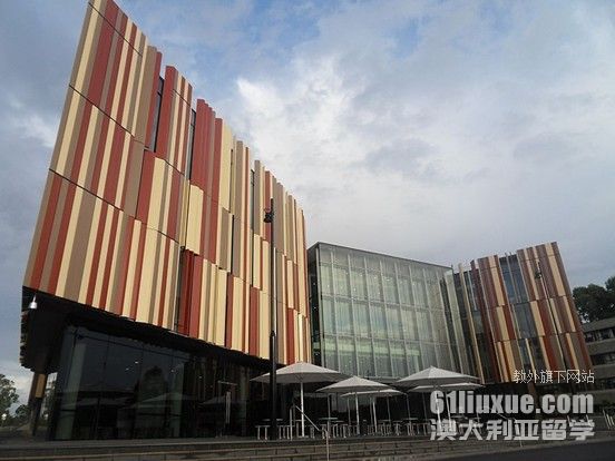 麦考瑞大学商科会计专业硕士入学要求
