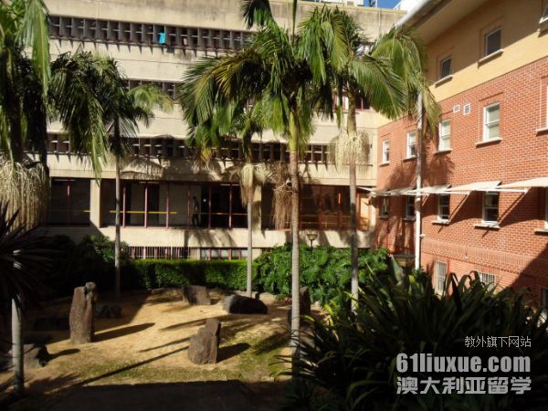 悉尼大学护理硕士