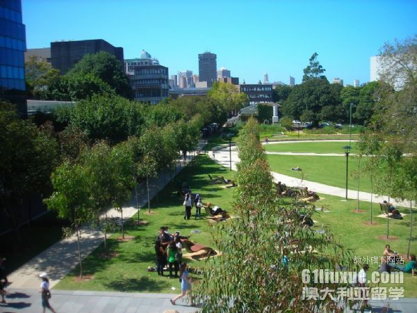 悉尼大学本科建筑专业