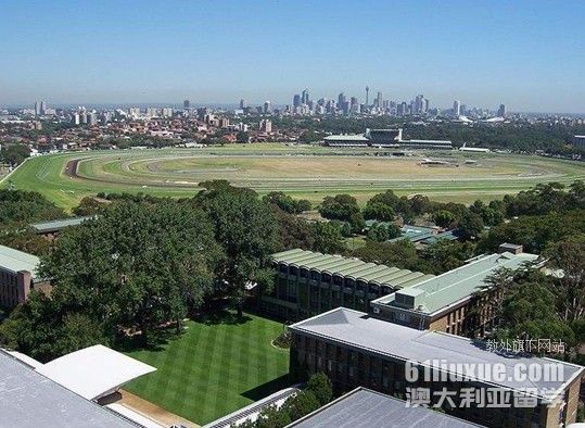 新南威尔士大学金融分析硕士学费