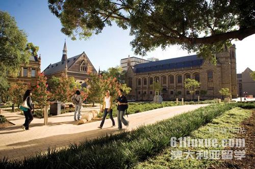 澳洲阿德莱德大学怎么样
