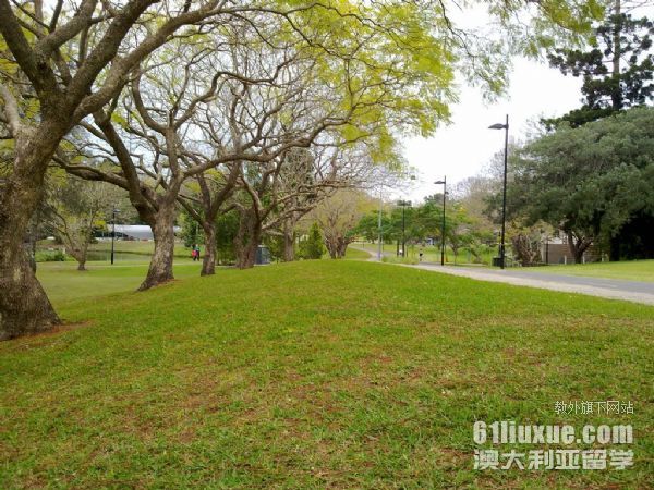 昆士兰大学市场营销专业申请条件