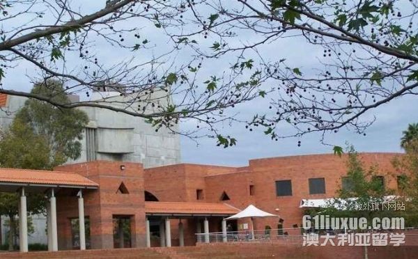 科廷大学医学影像专业