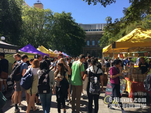 墨尔本大学商学院本科学费