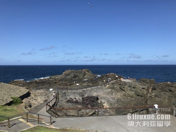 澳洲本科费用