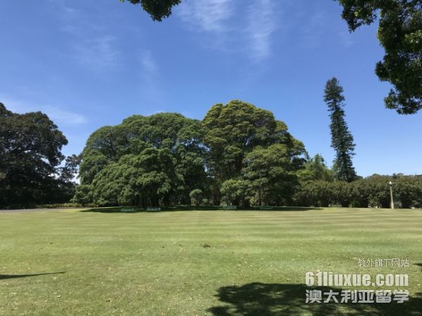 大学期间去澳洲留学