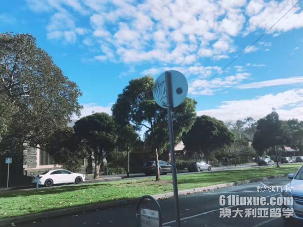 澳洲前八公立大学