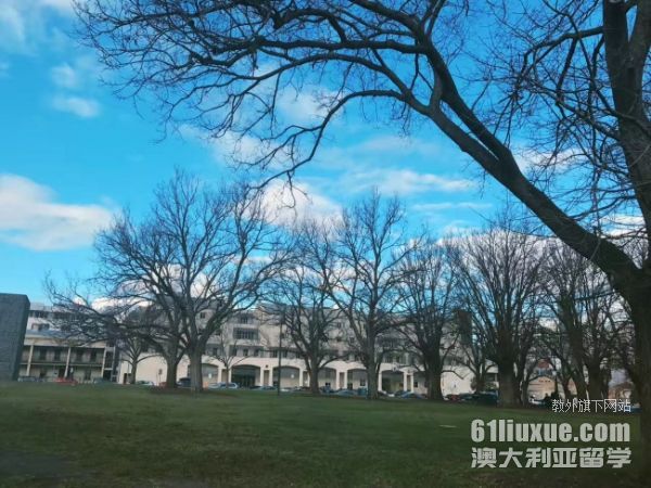 澳大利亚留学本科雅思条件