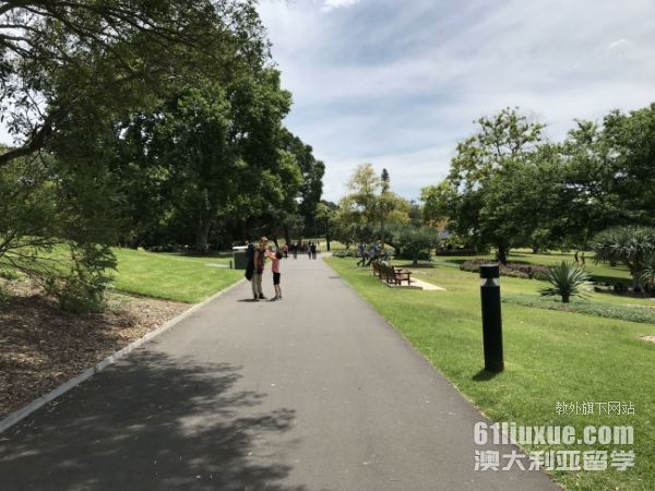 澳洲留学药学大学排名