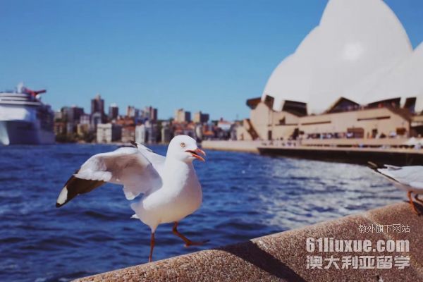 法学生澳大利亚留学