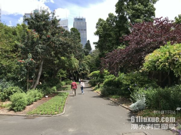 艺术生澳洲研究生留学前景