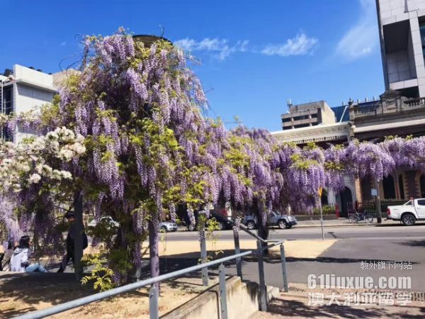 昆士兰大学预科申请条件