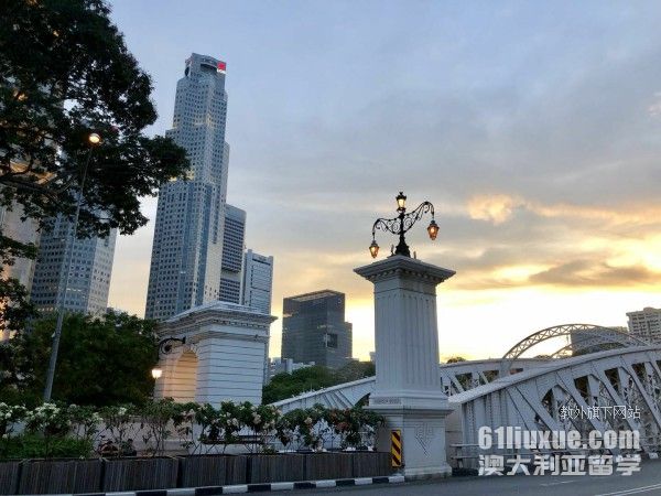 新加坡新南威尔士大学