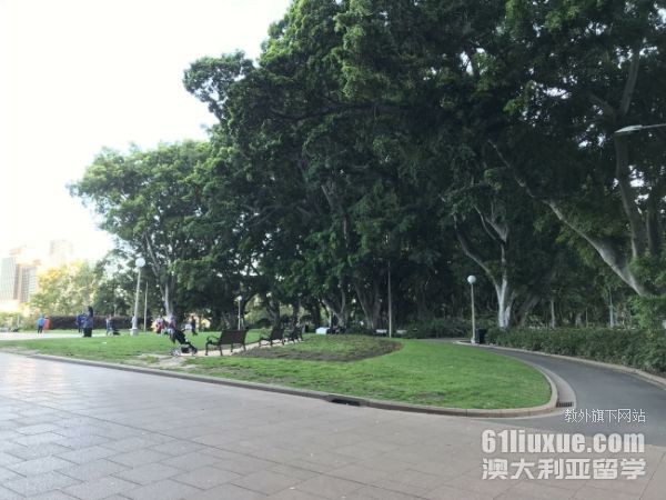 澳洲专科申请研究生