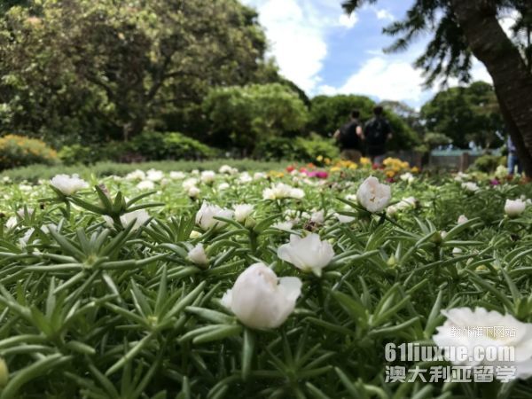 澳洲国立大学硕士申请条件