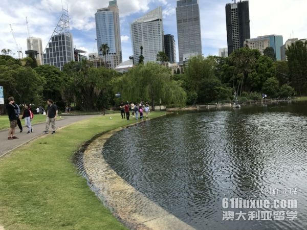 澳大利亚麦考瑞大学会计学