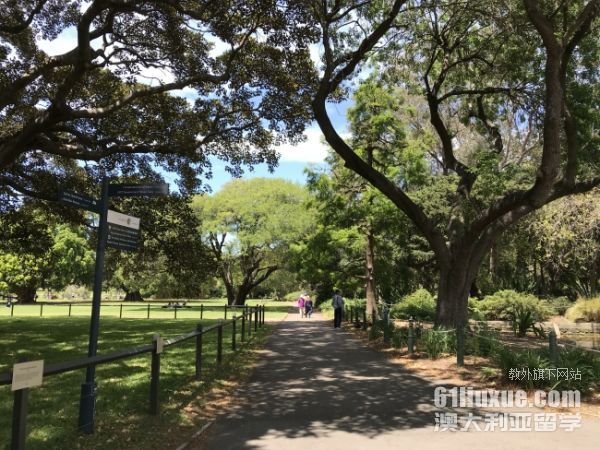 去澳洲留学一年多少钱