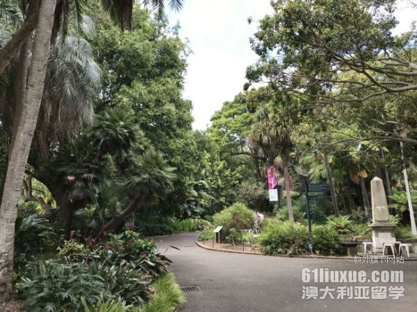 澳洲留学哲学专业
