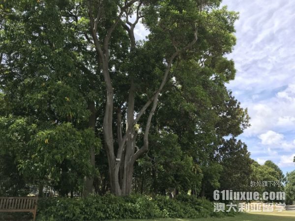 非应届生澳洲留学