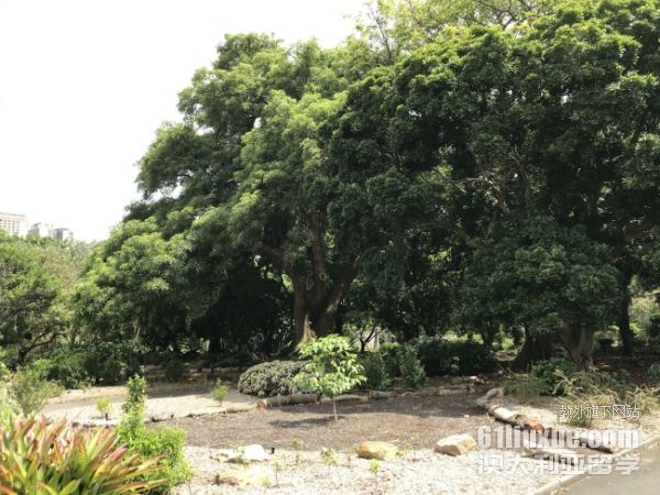 澳大利亚教育留学