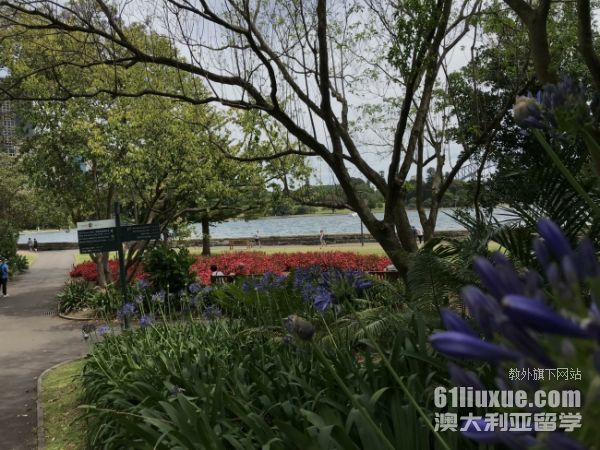 留学澳洲需要什么条件