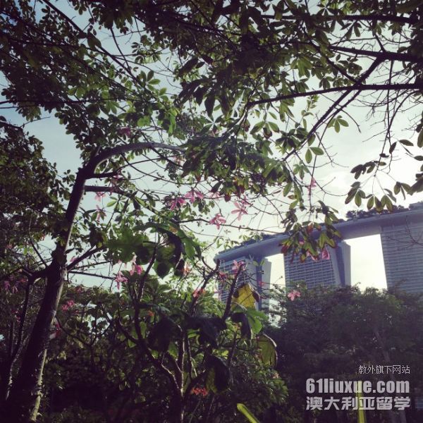 新加坡科廷大学学费是多少
