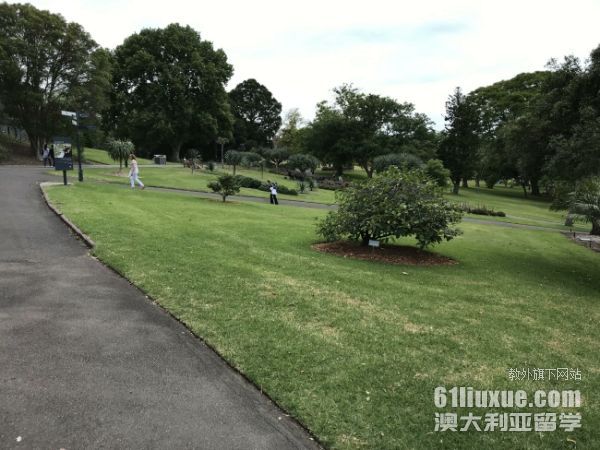 澳洲大学电影研究生专业