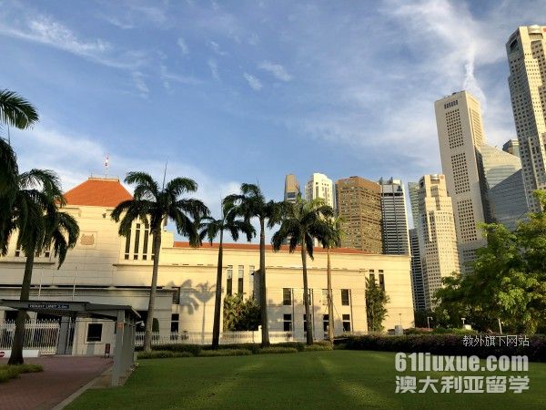 新加坡专升硕学校及专业