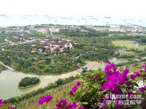 新加坡大学本科是几年制
