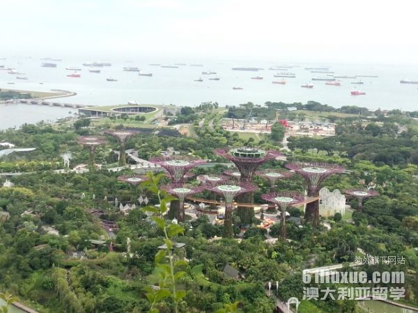 新加坡国立大学艺术类专业