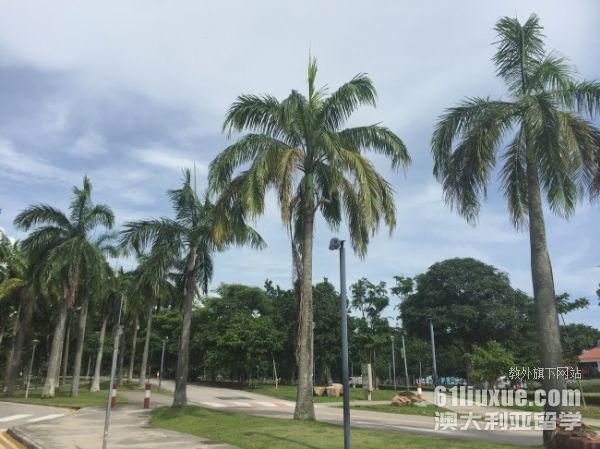 新加坡私立大学读研