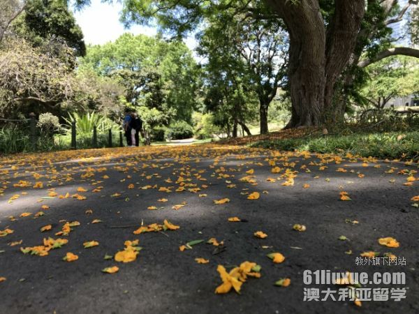 澳大利亚留学传媒类研究生