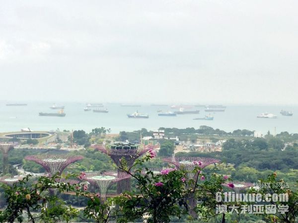 新加坡管理大学学费