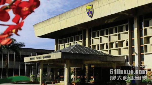 马来亚大学可申请的本科专业