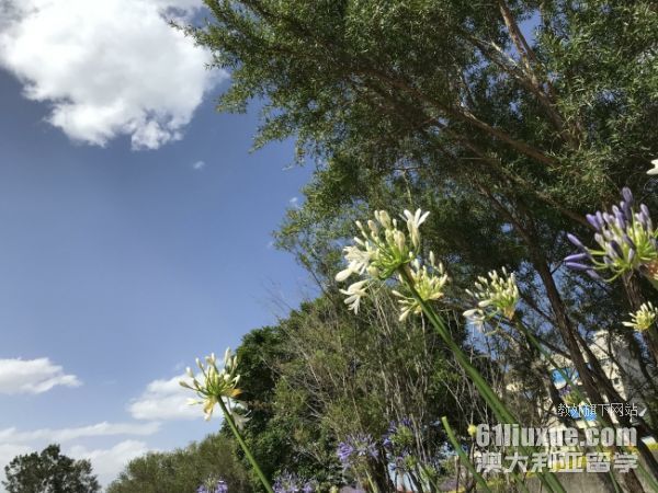 ���޴�ѧ��������