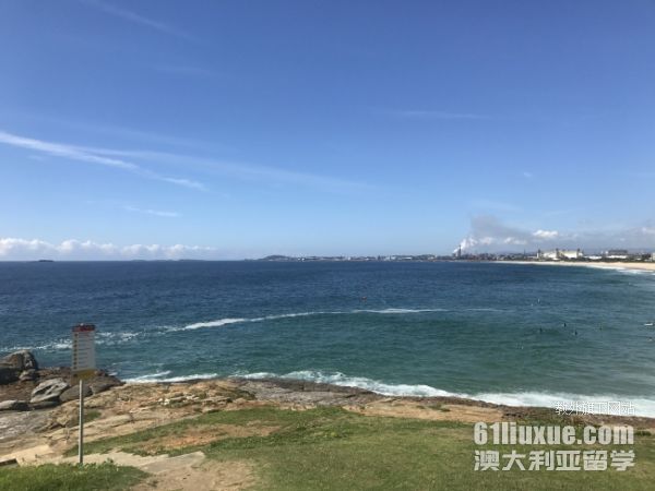 ����רҵ�Ĵ�����