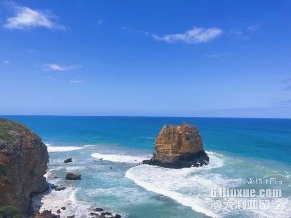 �Ĵ�������ѧ����רҵ