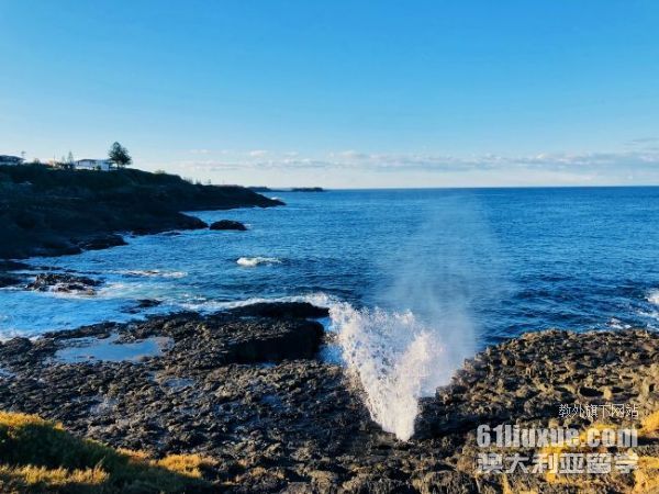 ���Ĵ����Ǵ�ѧ