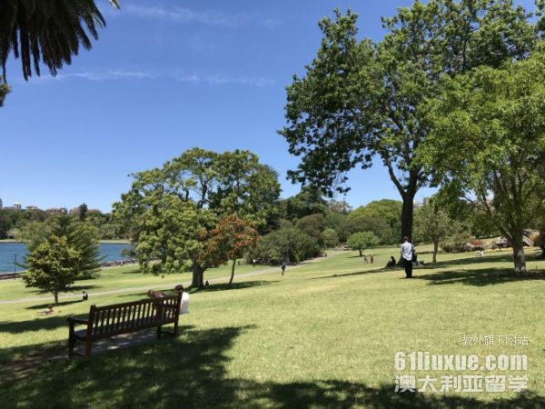 �Ĵ�����ҽ�Ʊ���