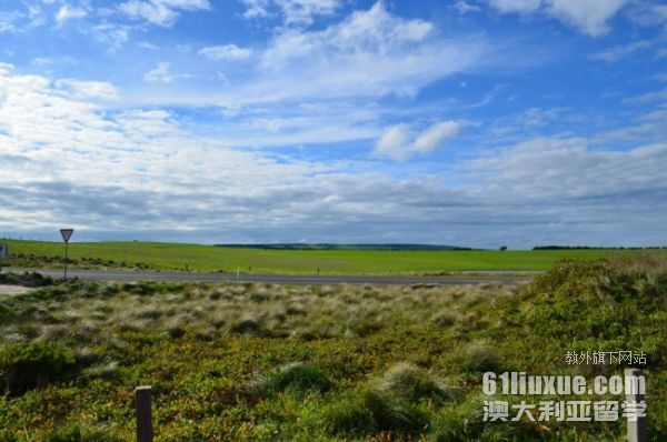 �Ĵ����ǵ�������רҵ