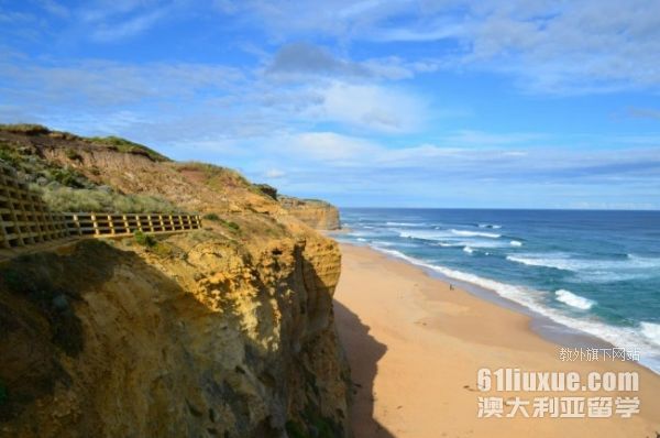 ���޹�����ѧit��ѧ