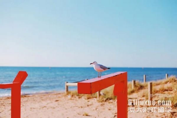 ���޴���ѧ���о�����ѧ