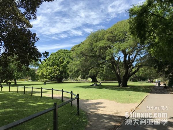 澳洲硕士留学申请
