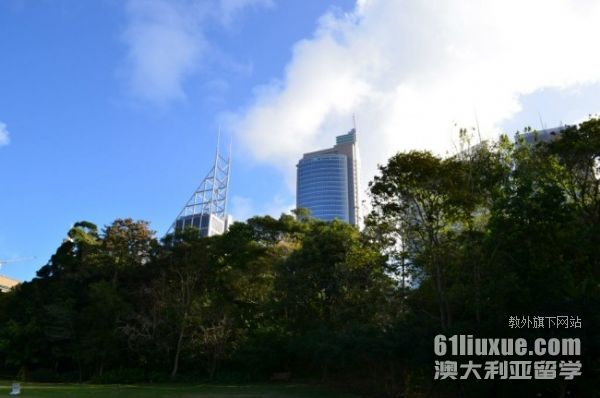 麦考瑞大学会计硕士