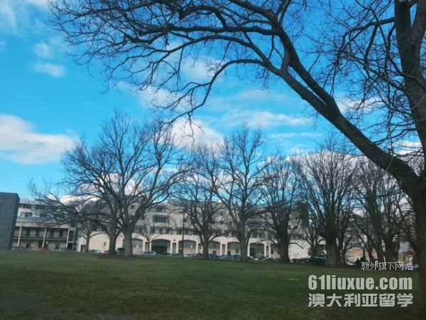 阿德莱德大学会计硕士
